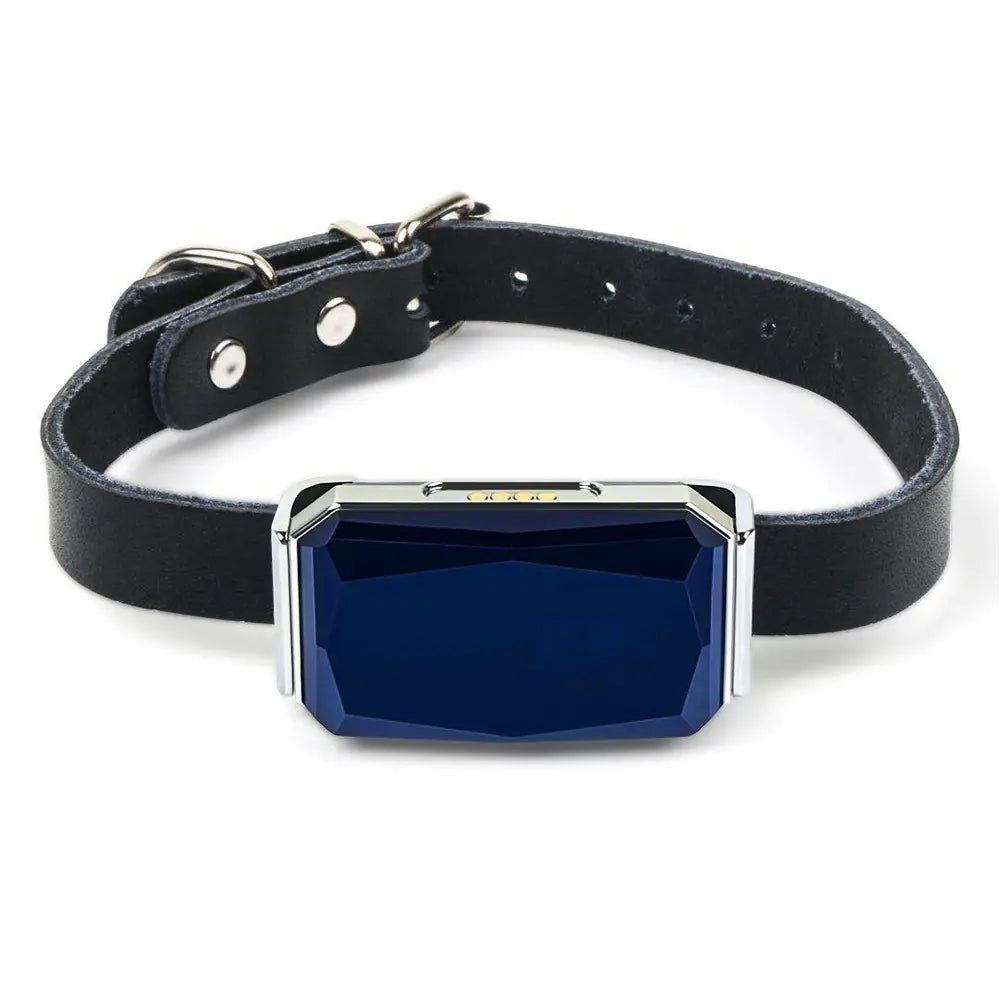 Waterproof GPS Tracking Collar for Pets- USB Rechargeable, Real-Time Location Tracking